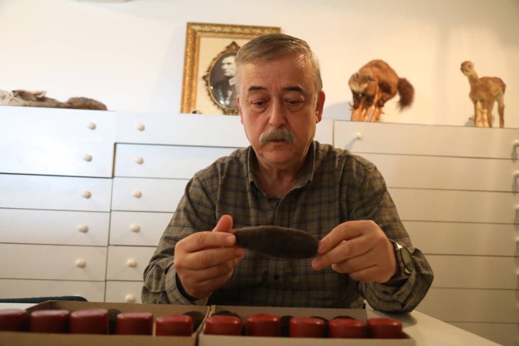 Karadeniz'de yayılmaya başladı! İlk kez yaşanıyor, yurt dışından özel ekip geldi 2